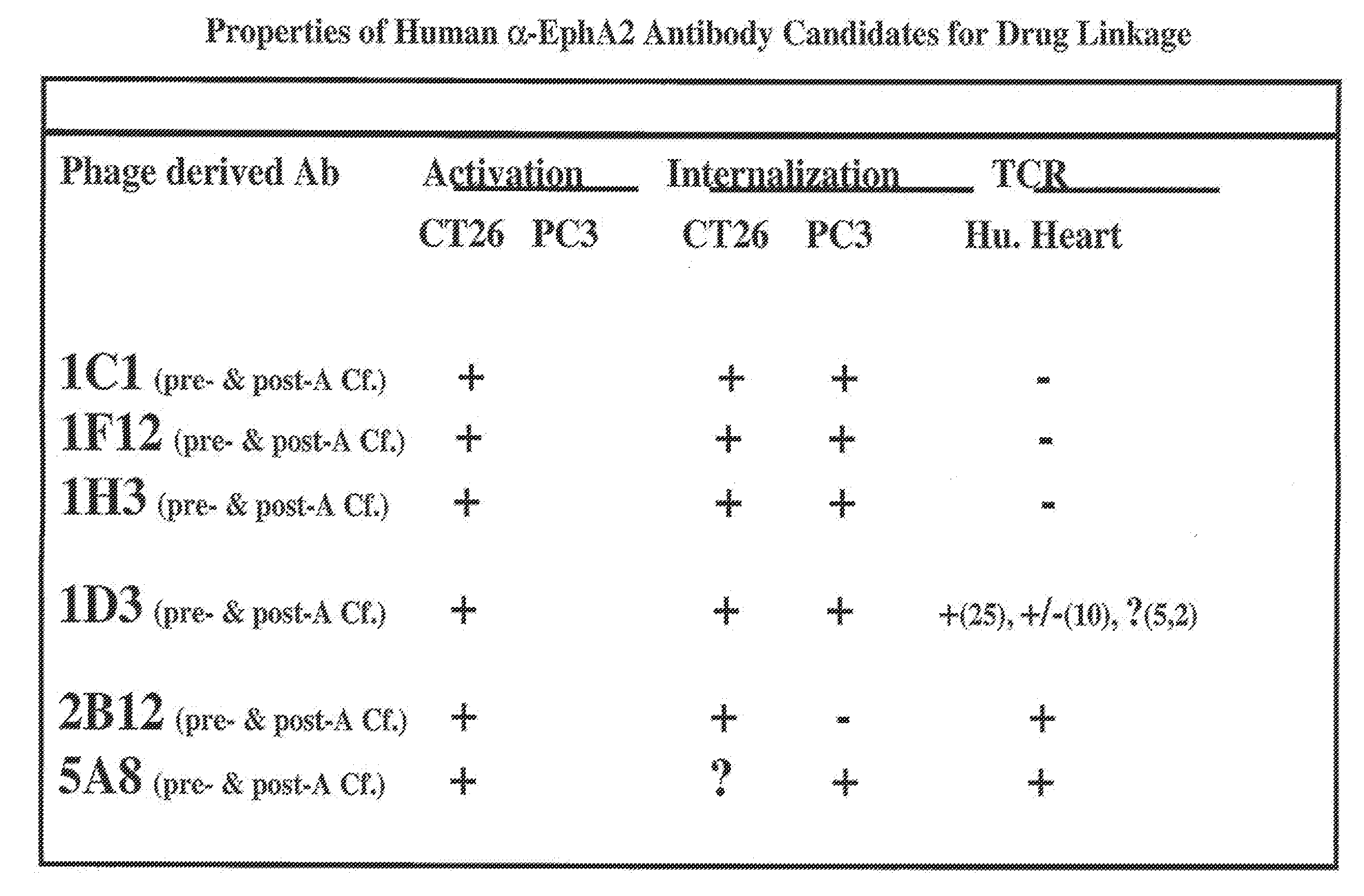 Toxin conjugated eph receptor antibodies