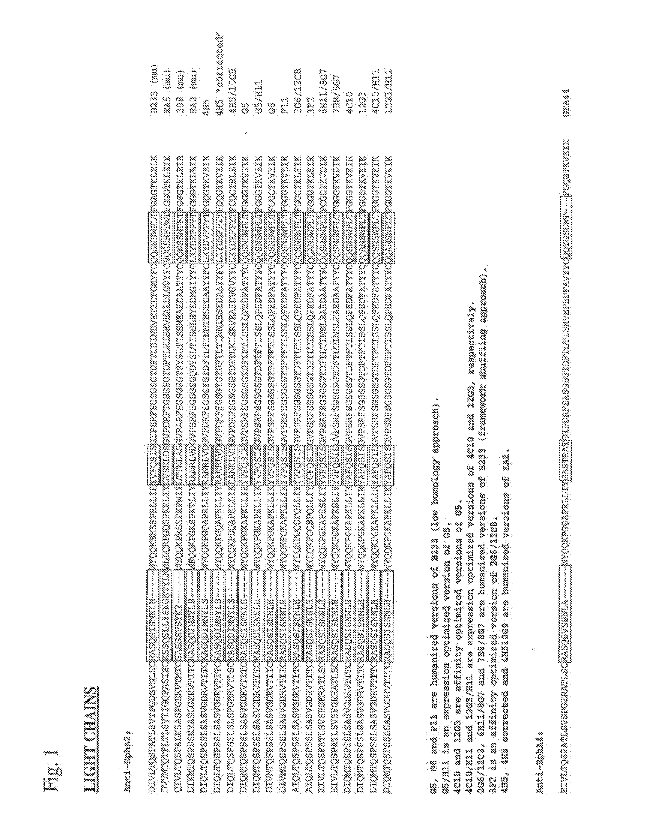 Toxin conjugated eph receptor antibodies