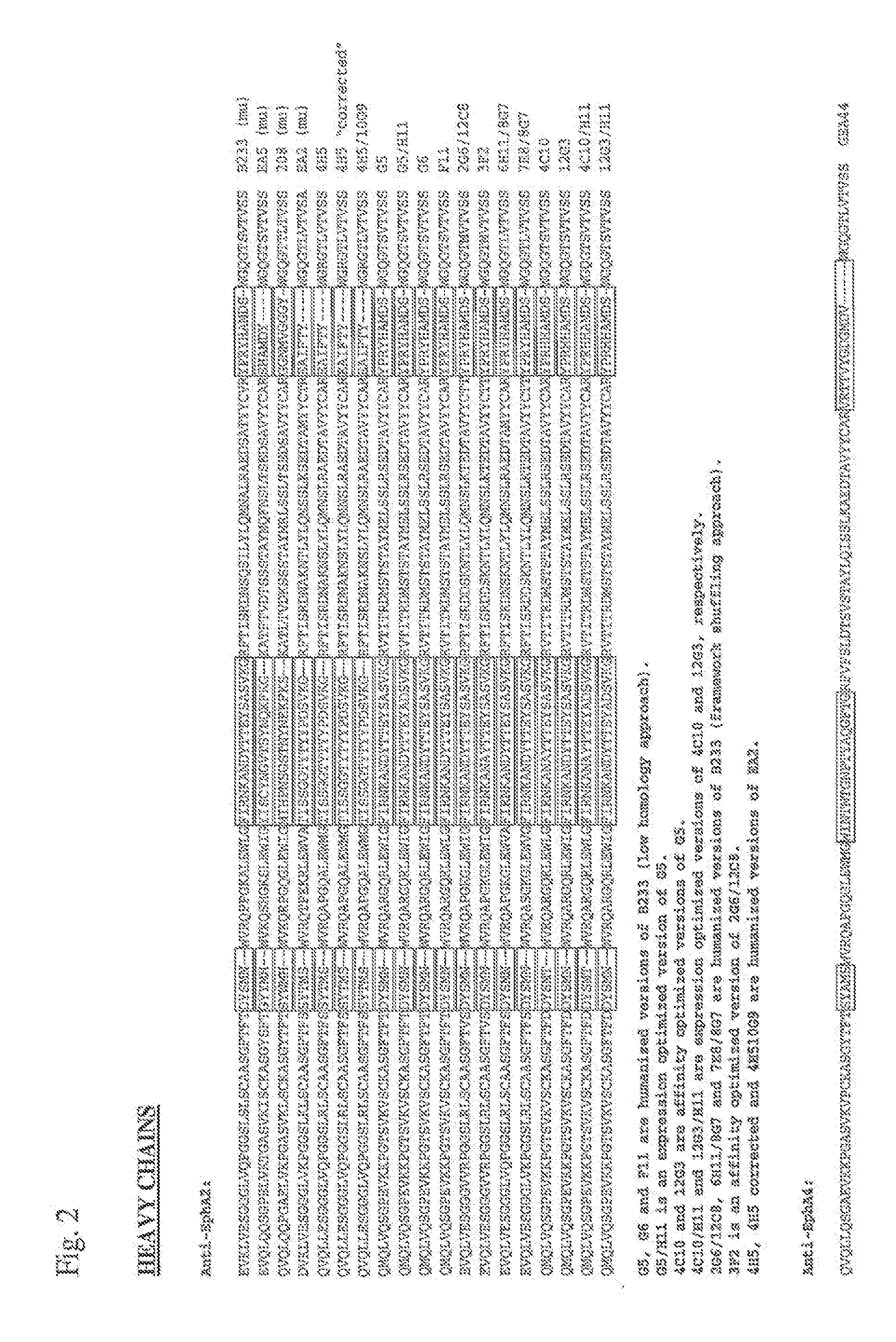 Toxin conjugated eph receptor antibodies