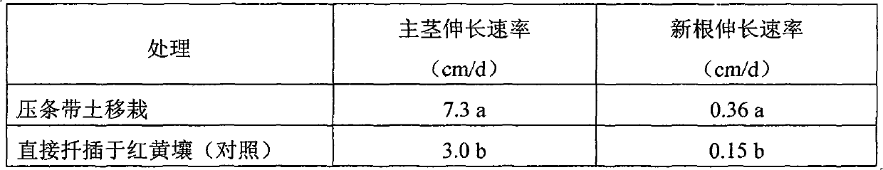 Method for replacement control of Eupatorium adenophorum Sprengel by using Pueraria spp.