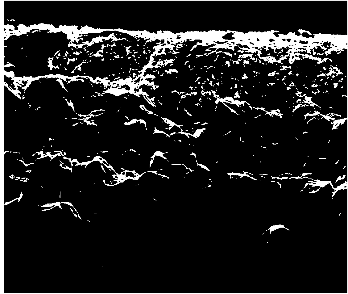 Preparation method of gradient silicon carbide ceramic membrane for water purification