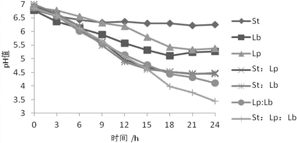 Compound lactobacillus fermented ginseng fruit juice beverage and preparation method thereof