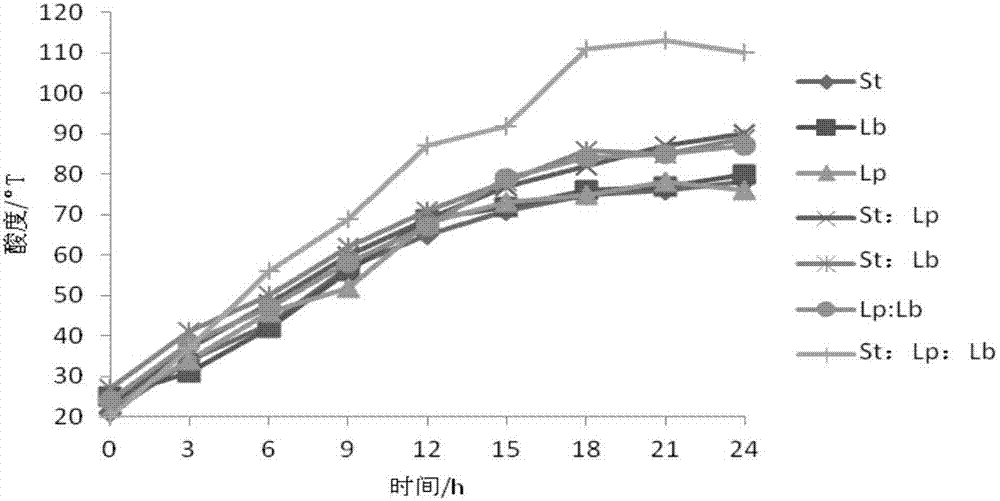 Compound lactobacillus fermented ginseng fruit juice beverage and preparation method thereof