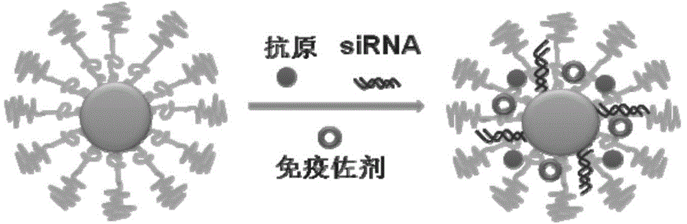 Compound-type nano-vaccine and preparation method thereof