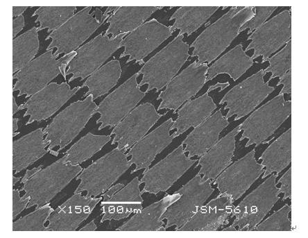 Periodic SiO2 flaky nano structure and preparation method thereof