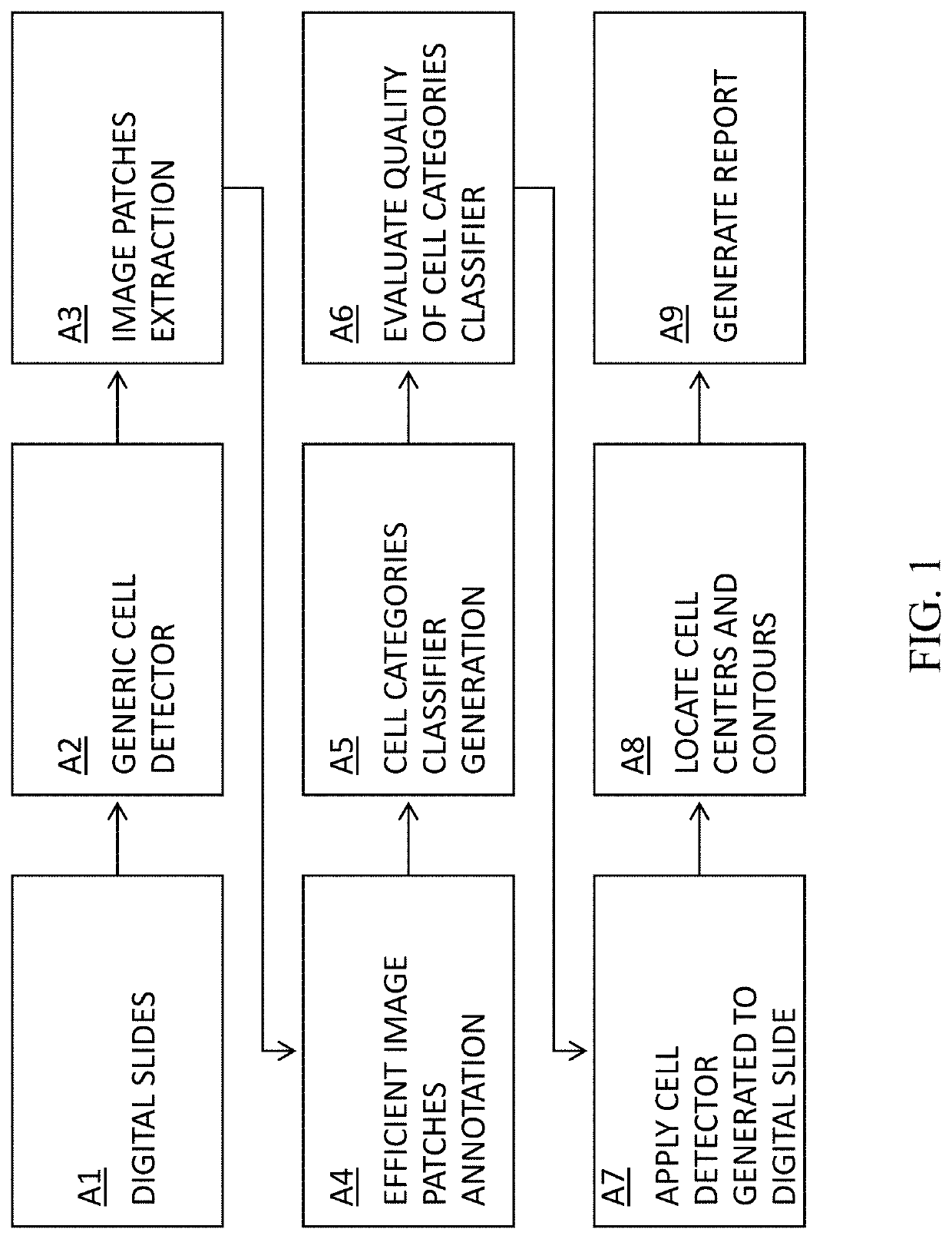 Cell Detection Studio: a system for the development of Deep Learning Neural Networks Algorithms for cell detection and quantification from Whole Slide Images