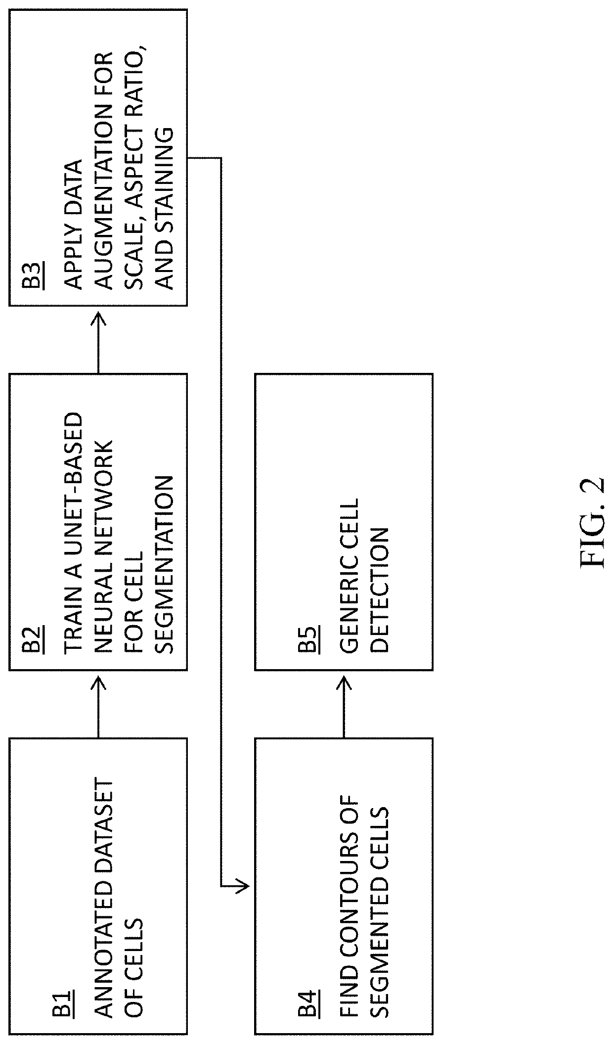 Cell Detection Studio: a system for the development of Deep Learning Neural Networks Algorithms for cell detection and quantification from Whole Slide Images