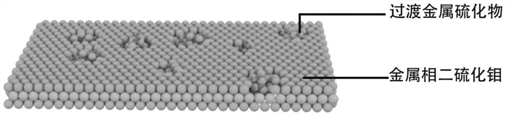 Metal phase molybdenum disulfide-based in-plane heterostructure, self-supporting electrode, preparation method and application