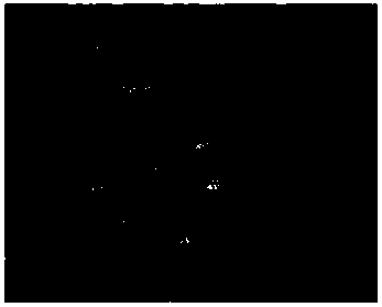 Shadow extraction method facing ecological environment parameter remote sensing inversion