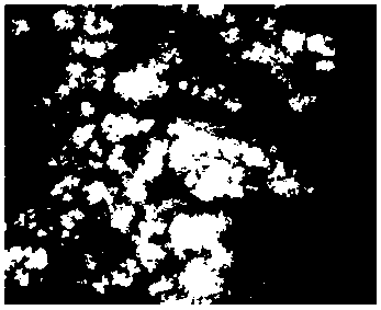 Shadow extraction method facing ecological environment parameter remote sensing inversion