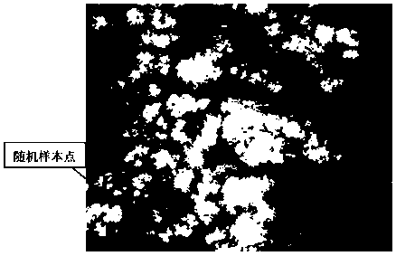 Shadow extraction method facing ecological environment parameter remote sensing inversion