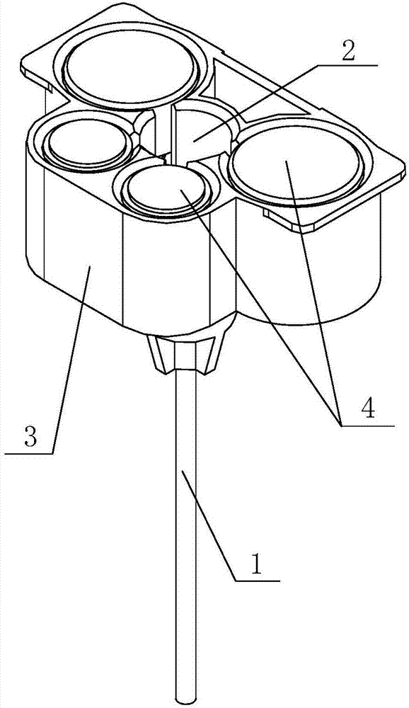 Capillary chemiluminiscence detection device and detection method thereof