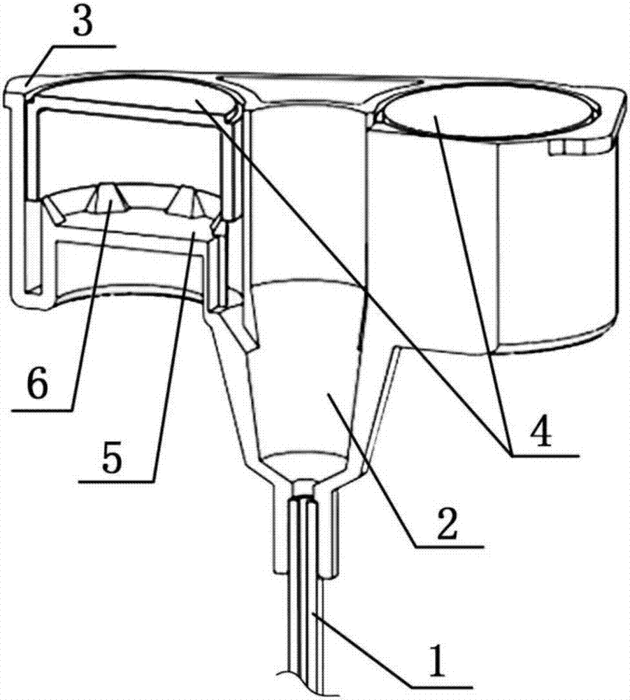 Capillary chemiluminiscence detection device and detection method thereof