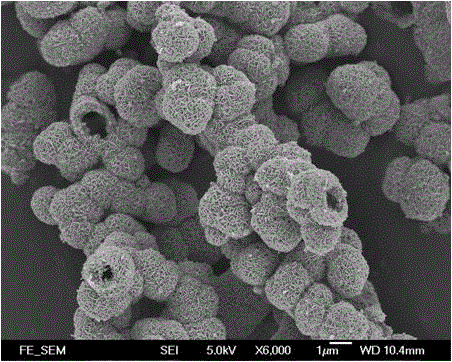 Preparation method of titanium bismuth oxyfluoride layered compound hierarchical-structure porous hollow spheres