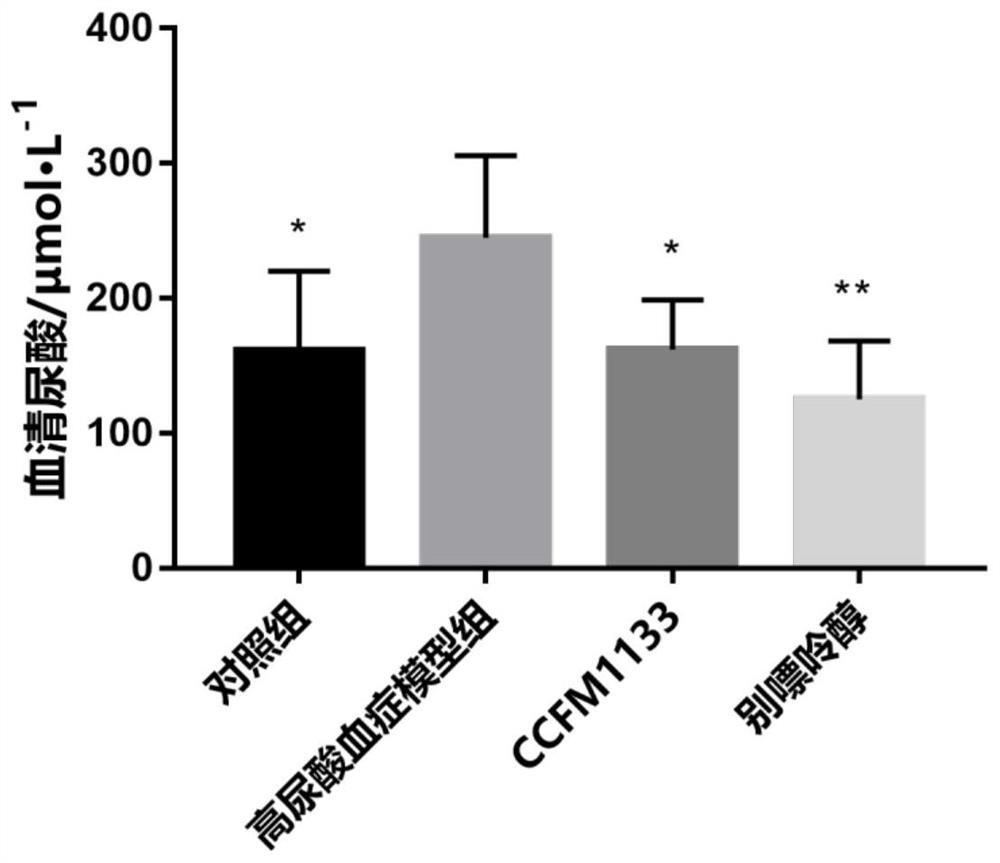 A strain of Lactobacillus gasseri and its use for relieving and treating hyperuricemia