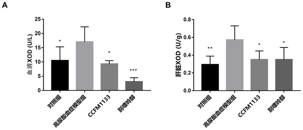 A strain of Lactobacillus gasseri and its use for relieving and treating hyperuricemia