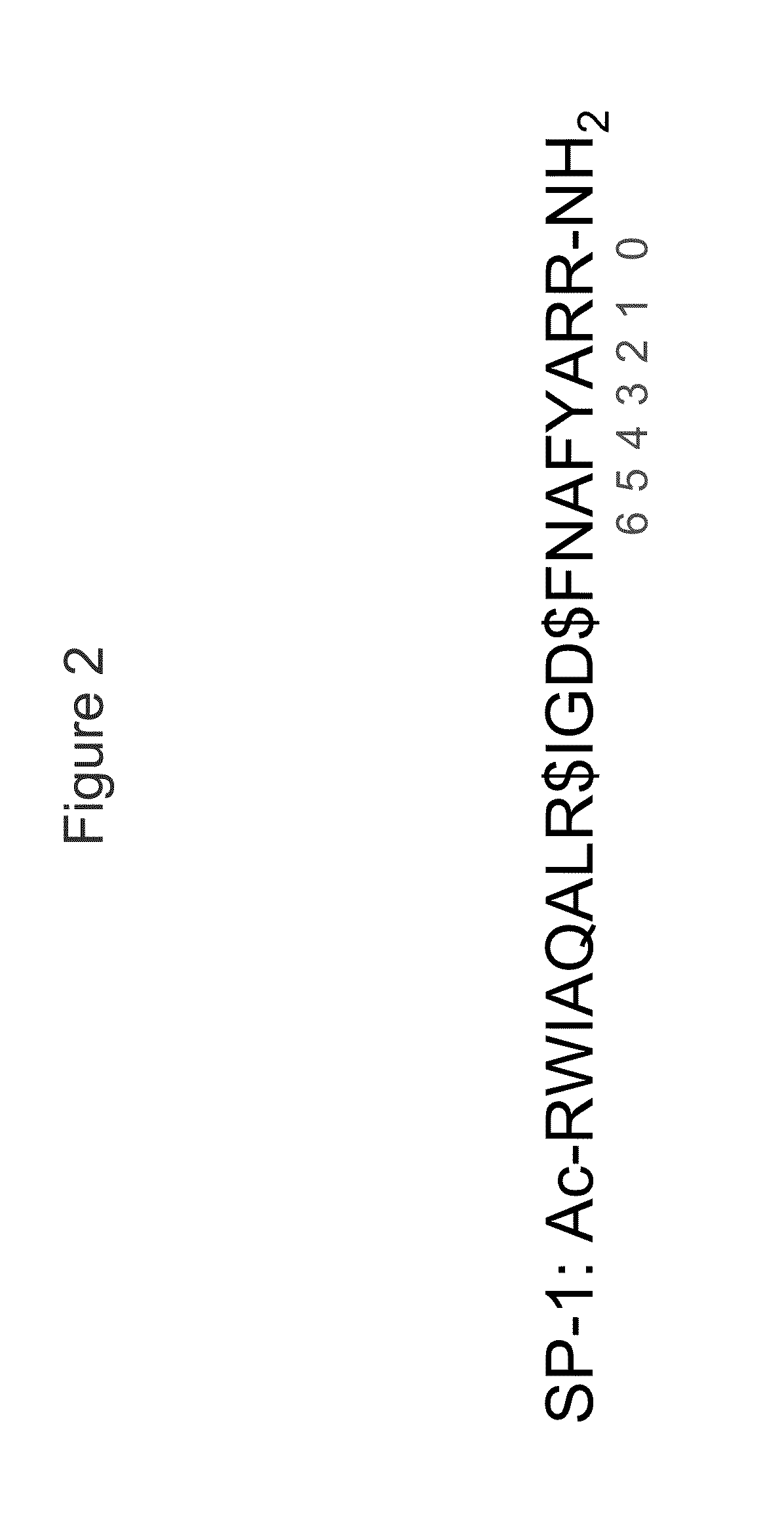 Peptidomimetic macrocycles