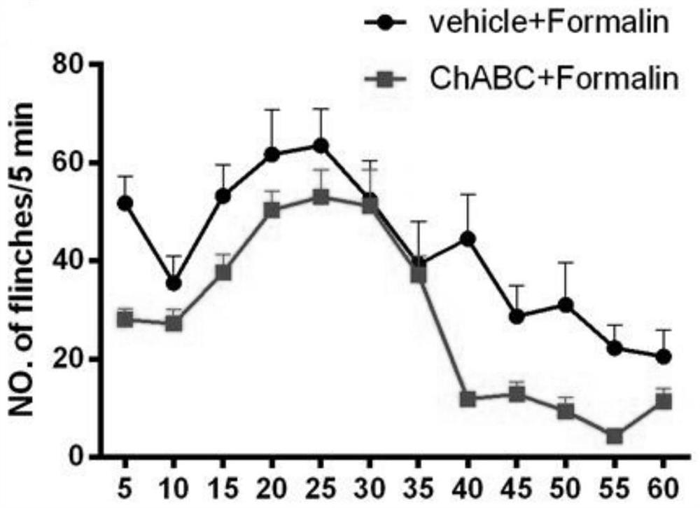 Application of chondroitin sulfatase in preparation of medicine for treating pain