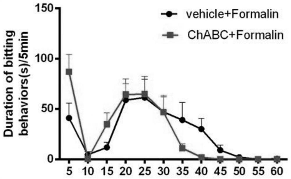 Application of chondroitin sulfatase in preparation of medicine for treating pain