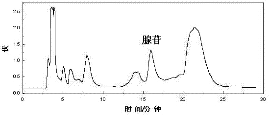 Method for large-scale preparation of adenosine chemical reference substance from fruiting bodies of Armillaria chrysogenum