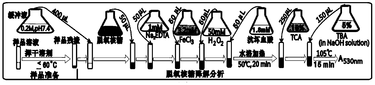 Hydrolyzable tannin compounds, pharmaceutical compositions and uses thereof