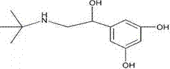 Magnetic particle chemiluminescent detection kit for terbutaline and preparation method