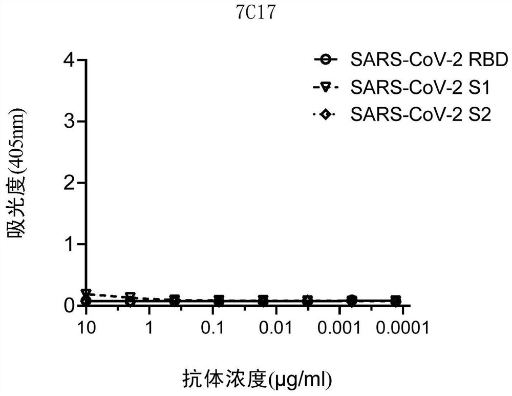 Neutralizing antibody of coronavirus or antigen-binding fragment thereof