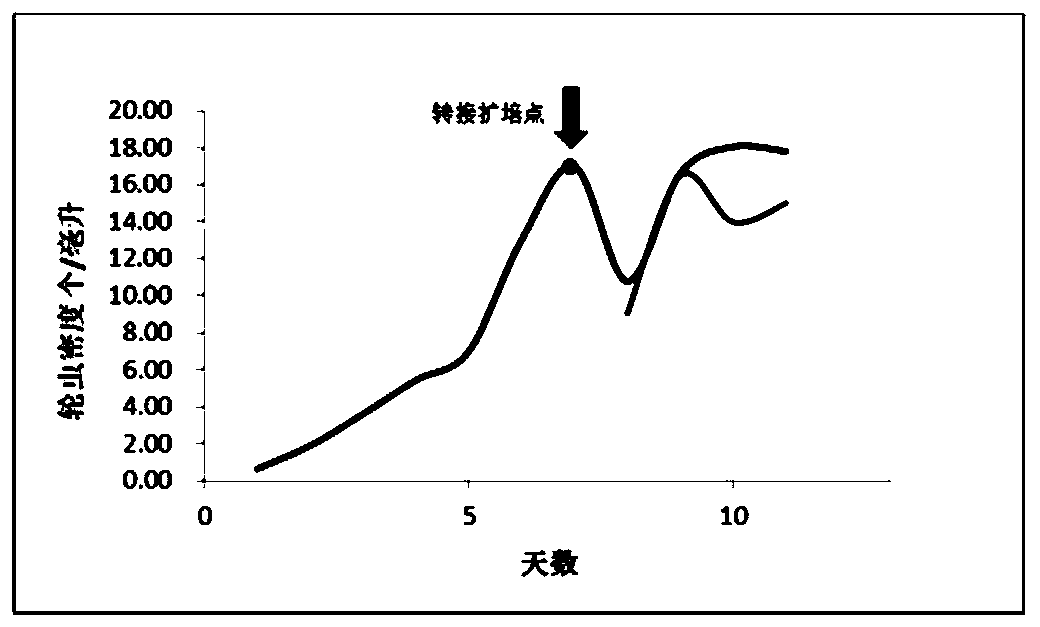 Method for expanding culture of brachionus calyciflorus in half environmental capacity