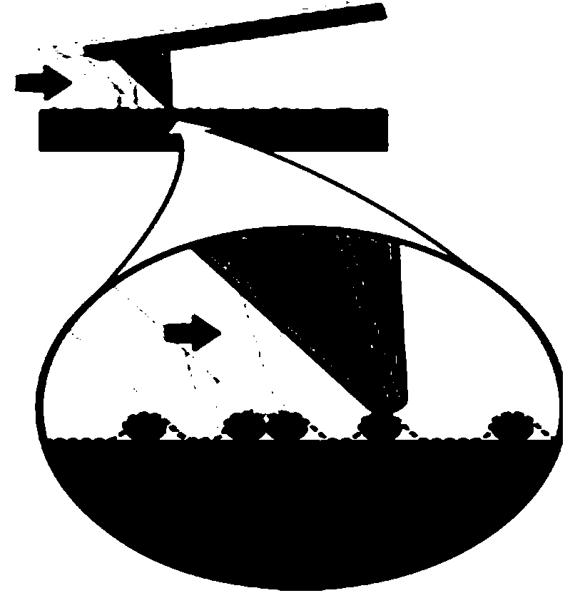 AFM probe device