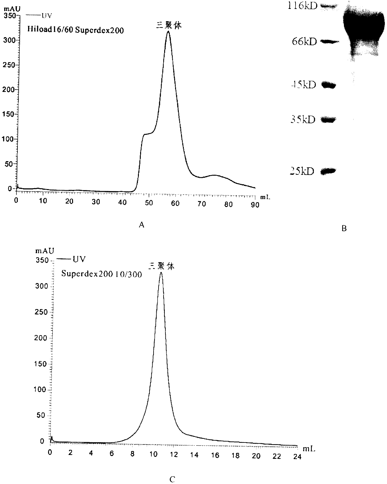 Potential preparation method for highly-efficient recombinant HIV-1 CRF07-BC gp140 immunogen