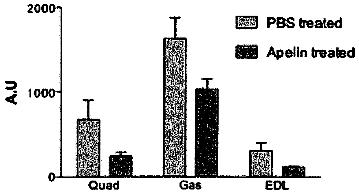 Pharmaceutical composition for use in the treatment of dysfunction associated with aging