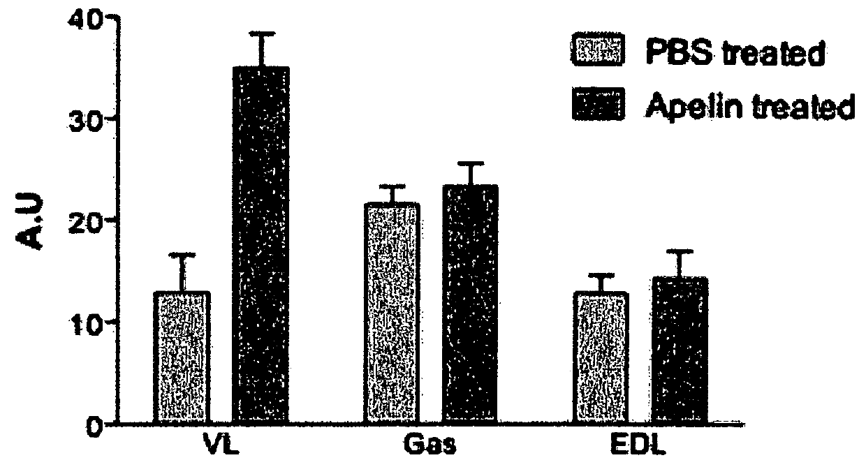 Pharmaceutical composition for use in the treatment of dysfunction associated with aging