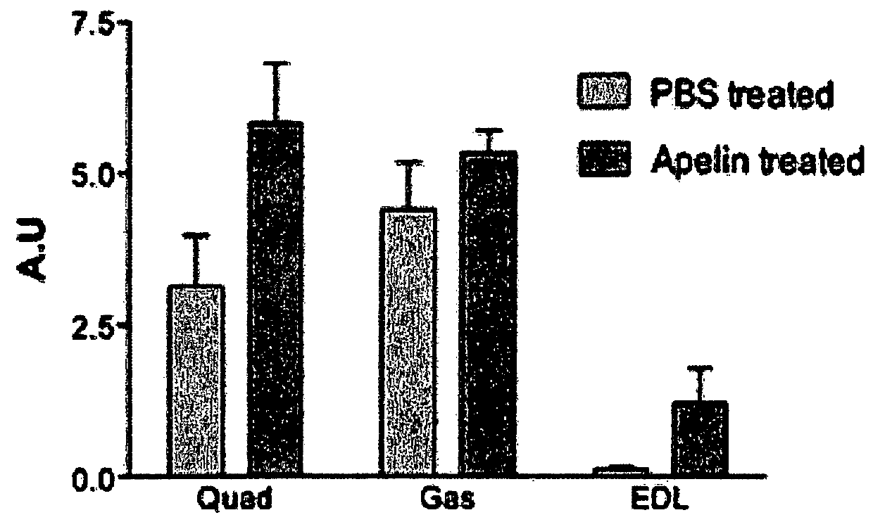 Pharmaceutical composition for use in the treatment of dysfunction associated with aging