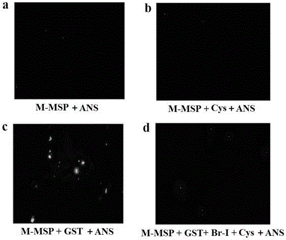 Irreversible affinity labeling agent for labeling GST and application and irreversible affinity labeling agent