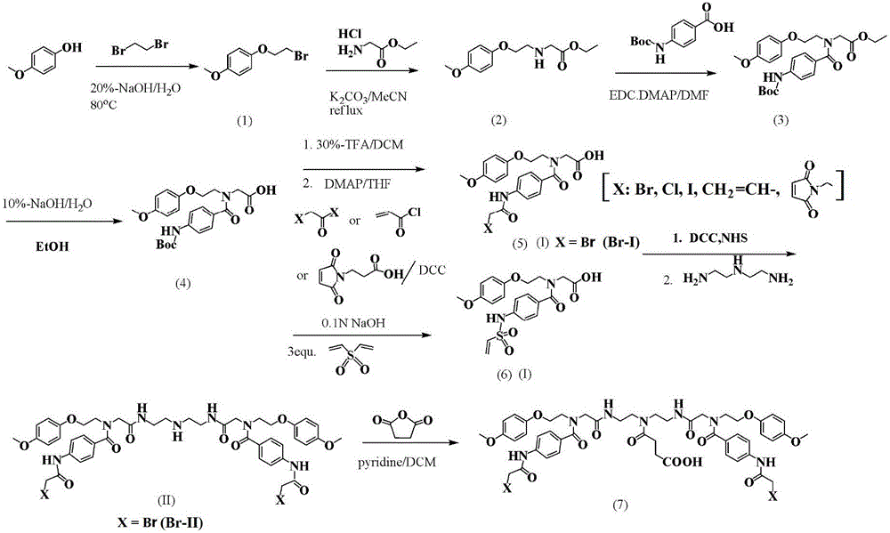 Irreversible affinity labeling agent for labeling GST and application and irreversible affinity labeling agent