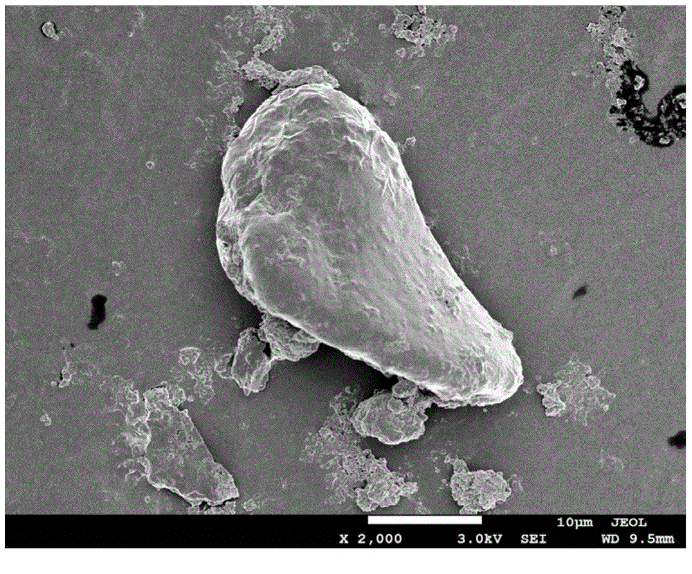 Method for preparing single-phase ZrB2 powder by employing xylitol as carbon source through sol-gel method