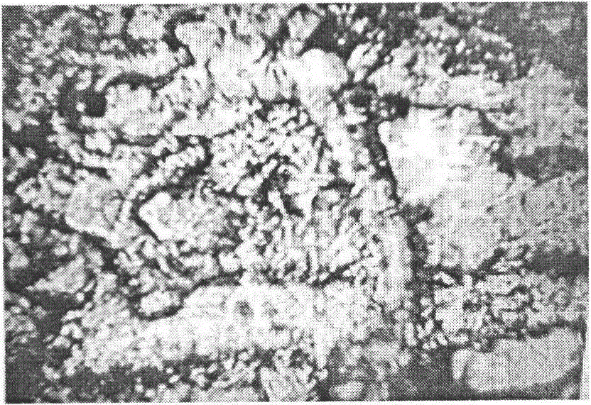 Nanometer chitosan compound/fiber composite diaphragm for lithium battery and preparation method of diaphragm