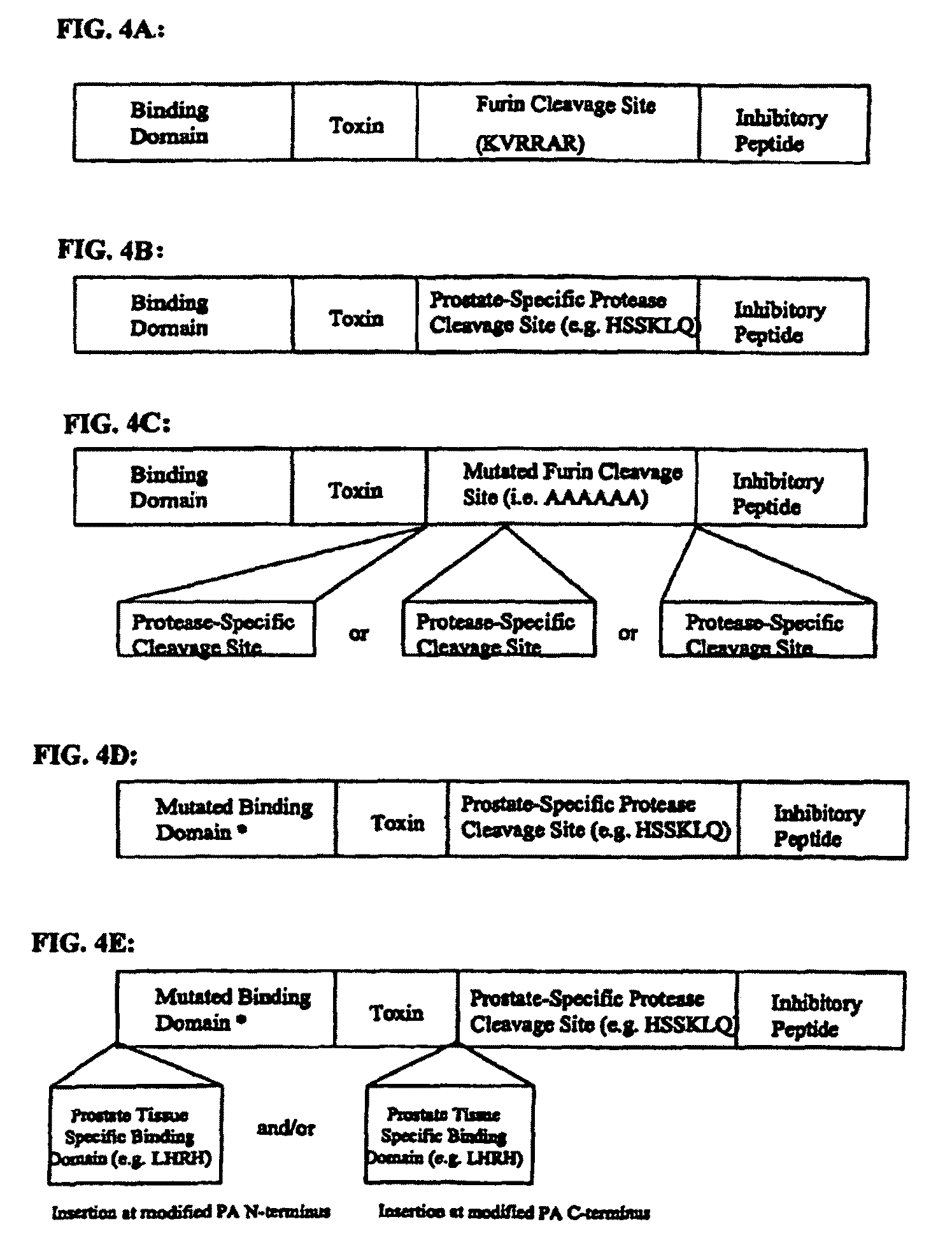 Method of treating or preventing benign prostatic hyperplasia using modified pore-forming proteins