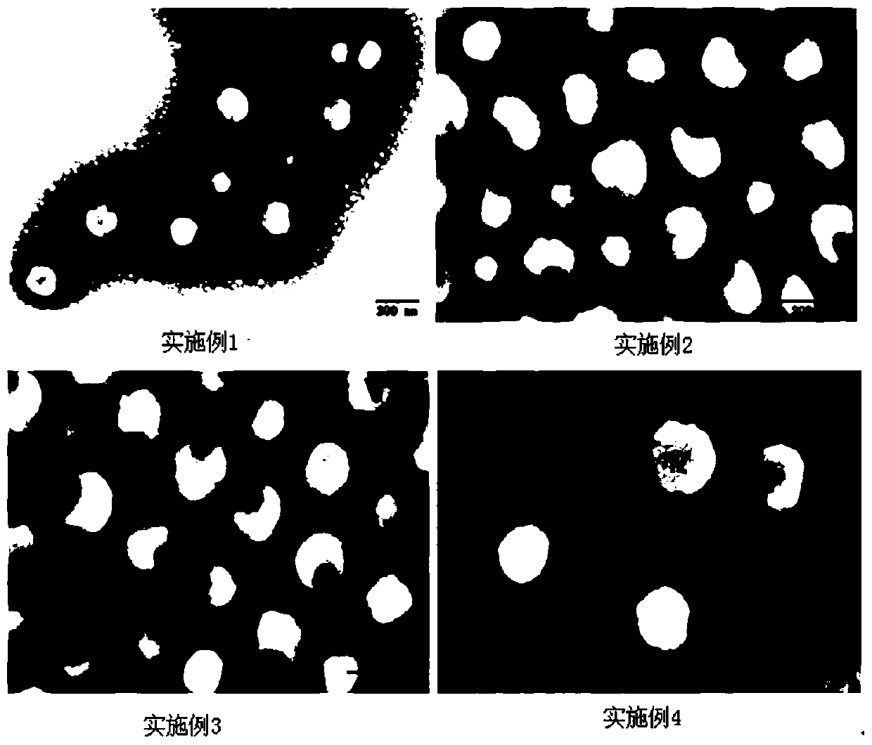 Preparation method of ACR elastic resin with core-shell structure