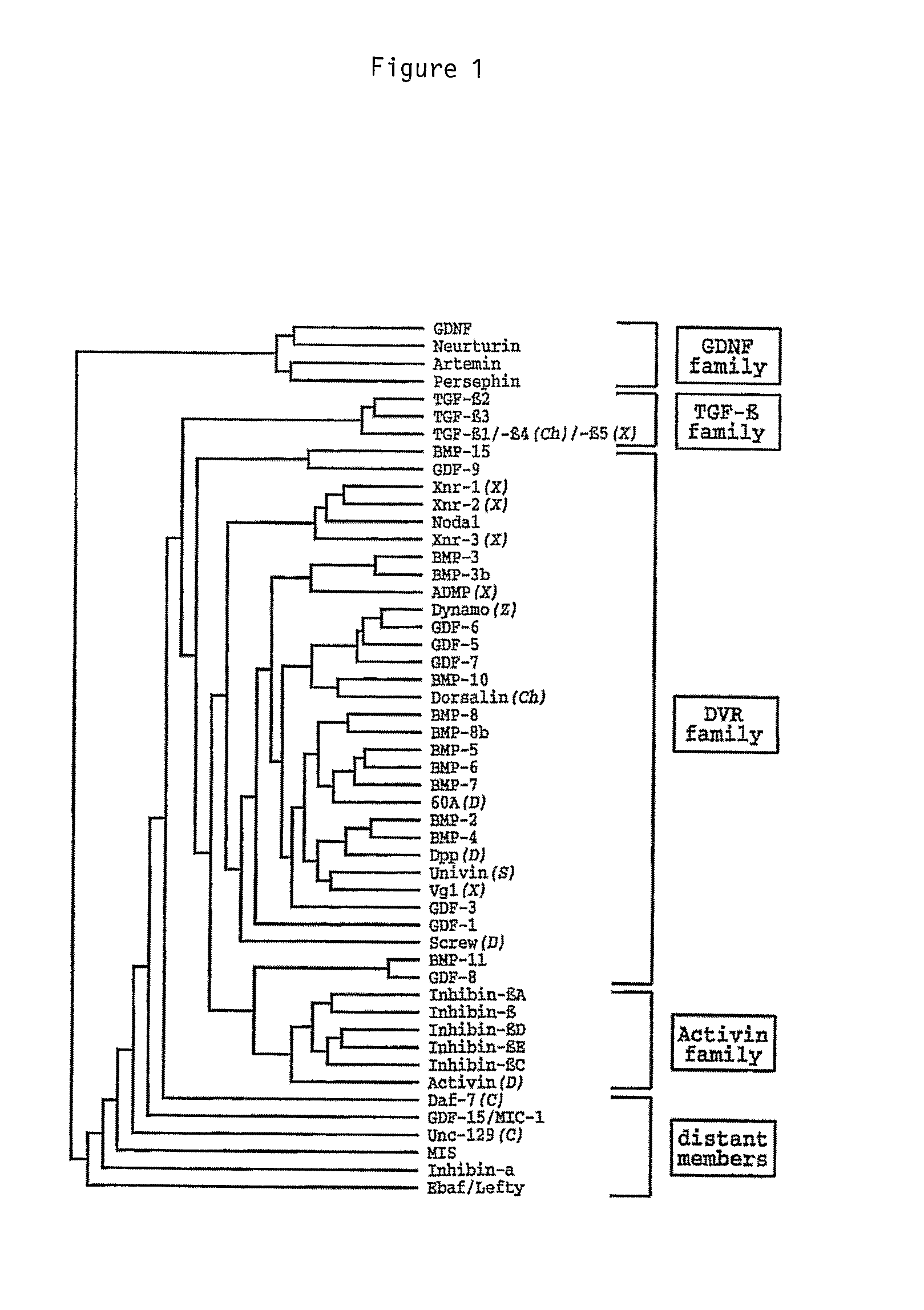 Pharmaceutical compositions