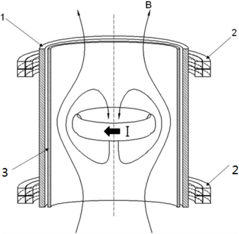 Neutron beam injector ion source field reverse configuration plasma radio frequency driver