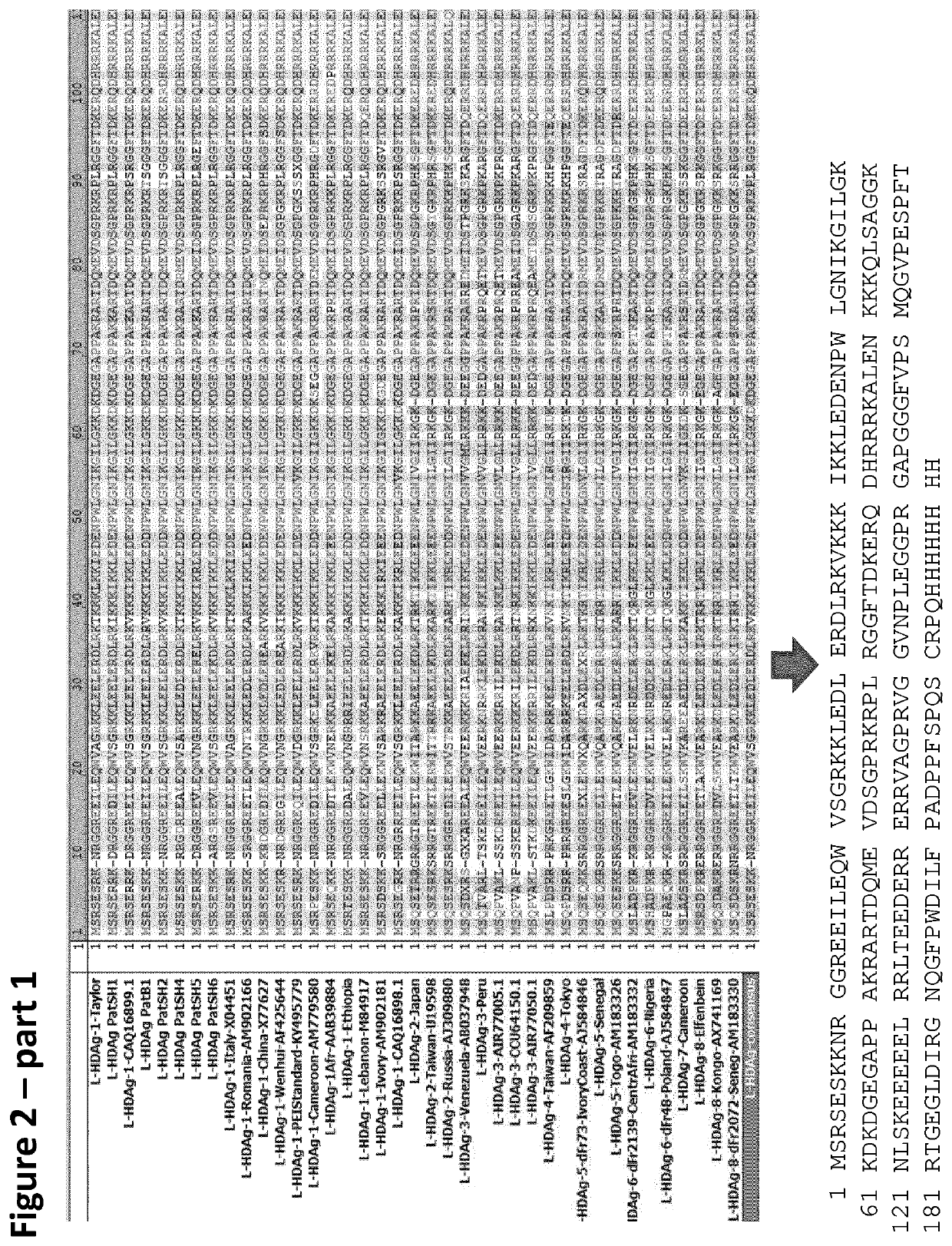 Method and means for the rapid detection of hdv infections