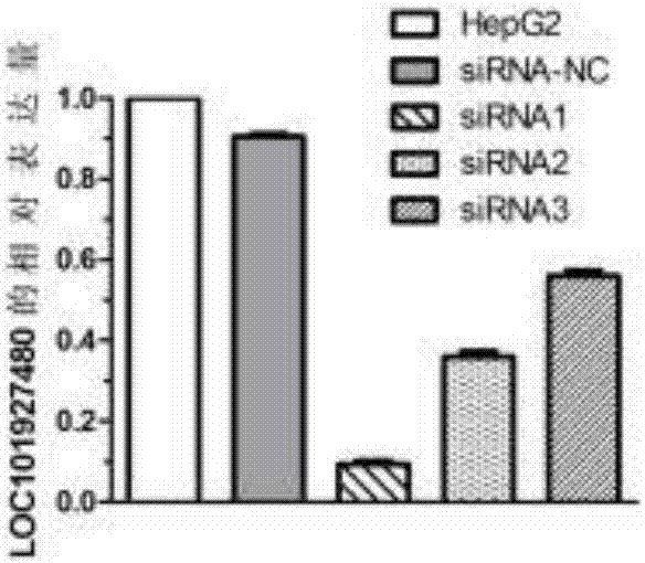 Use of lncRNA as biomarker in diagnosis and treatment of liver cancer