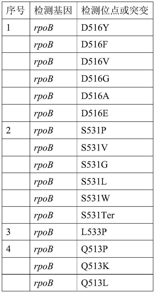 Related gene, method, primer group and kit for identifying mycobacterium tuberculosis complex flora and detecting drug resistance