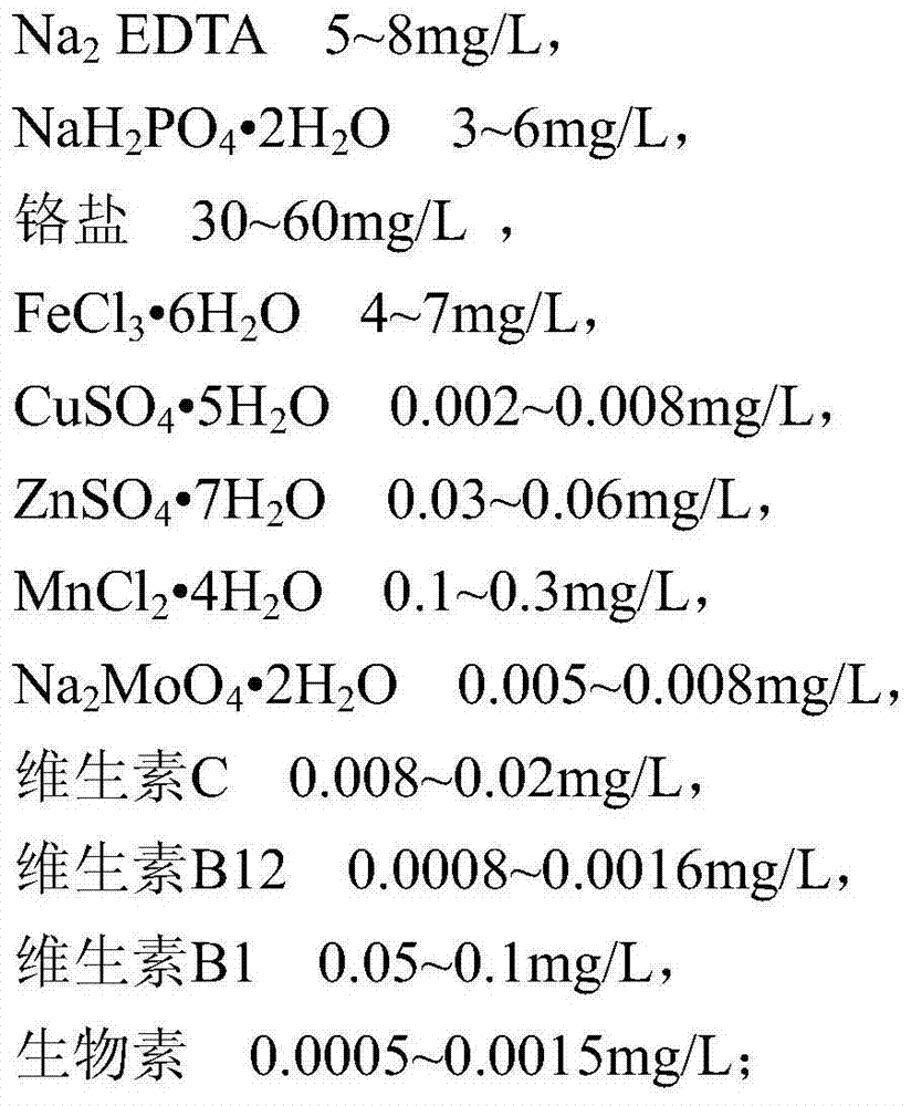 Super-green seawater pearl cultivation method