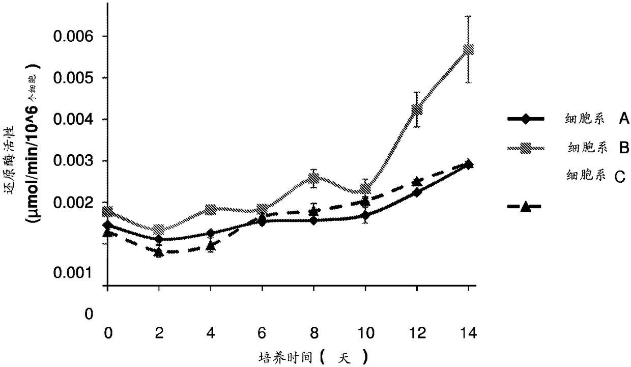 Prevention of protein disulfide bond reduction