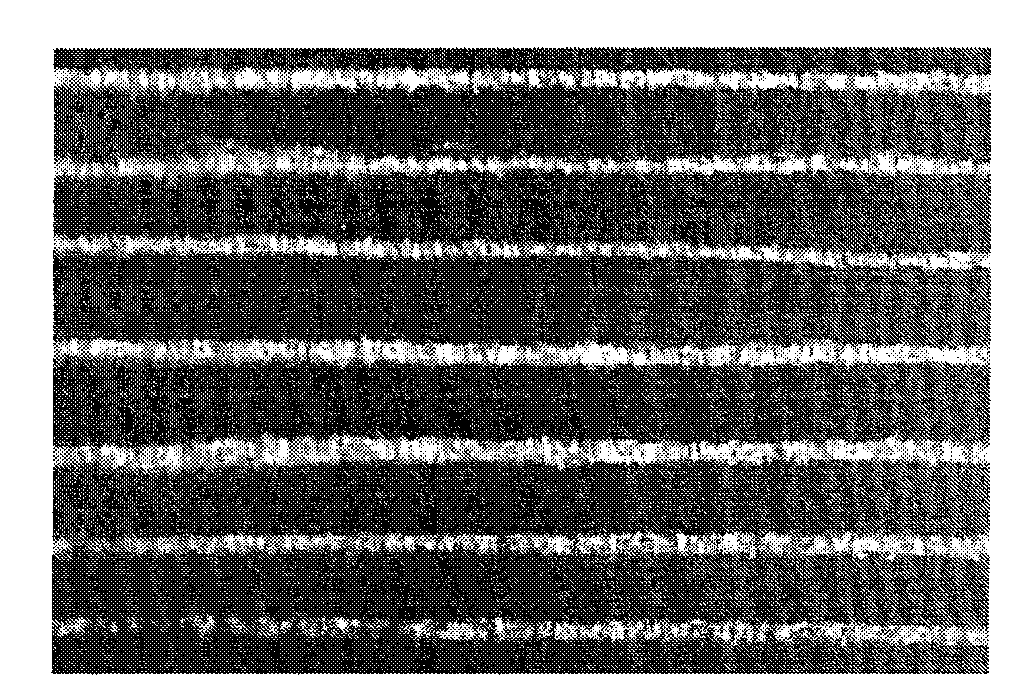 Al2O3 ceramic composite materials with bionic structure and preparation method thereof