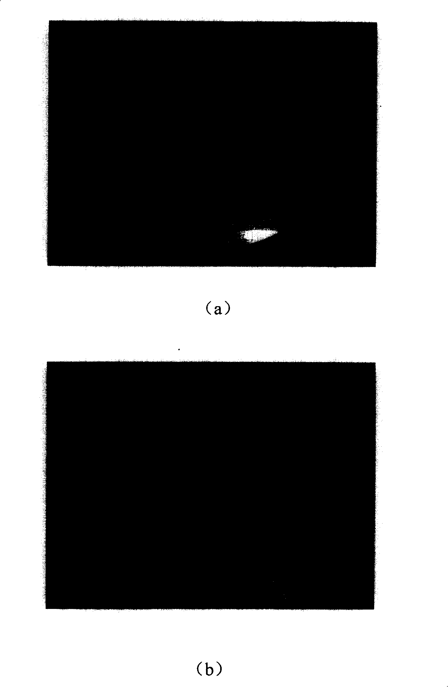 Alumina base andalusite-SiC-C brick, manufacturing method and its application