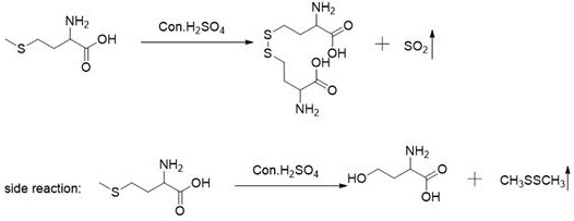 Tail gas treatment method for preparing DL-homocystine