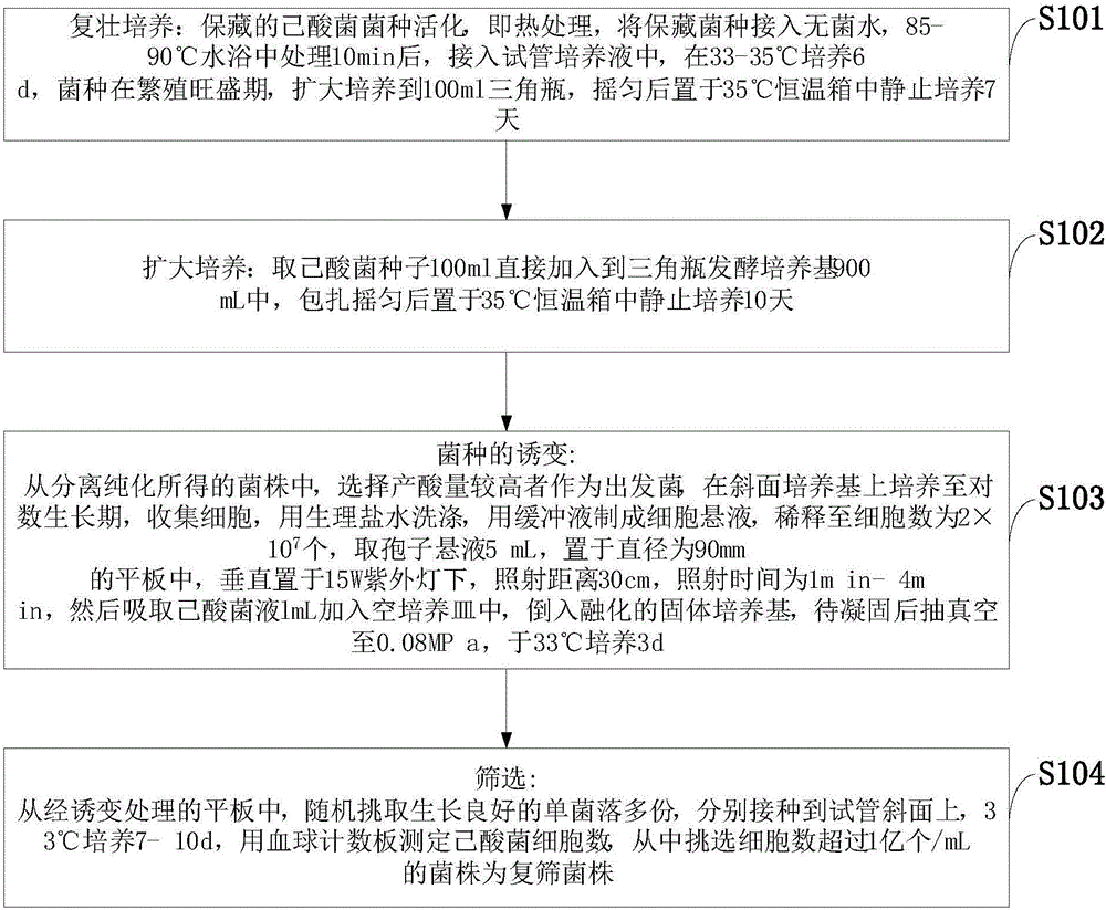 Caproic acid fermented strain and caproic acid extracting method